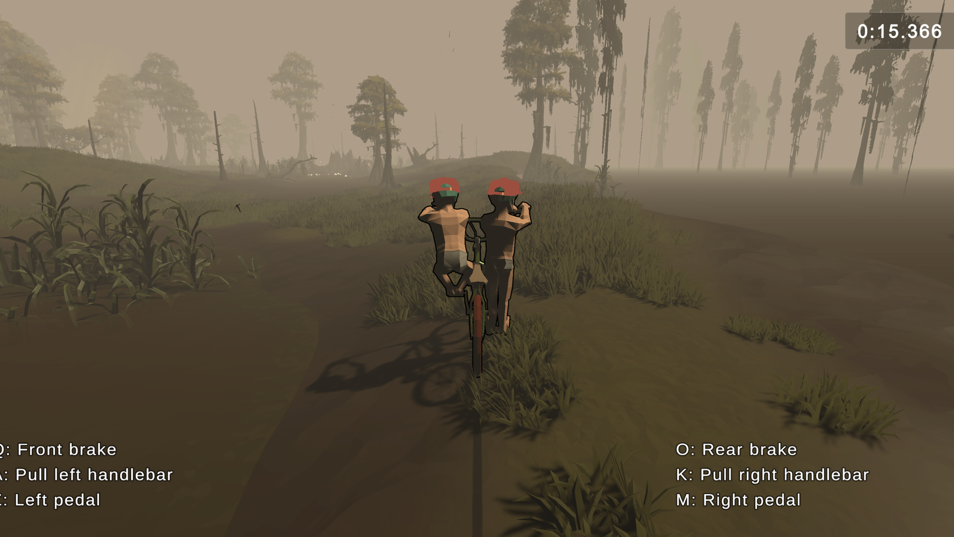 Foggy swamp environment